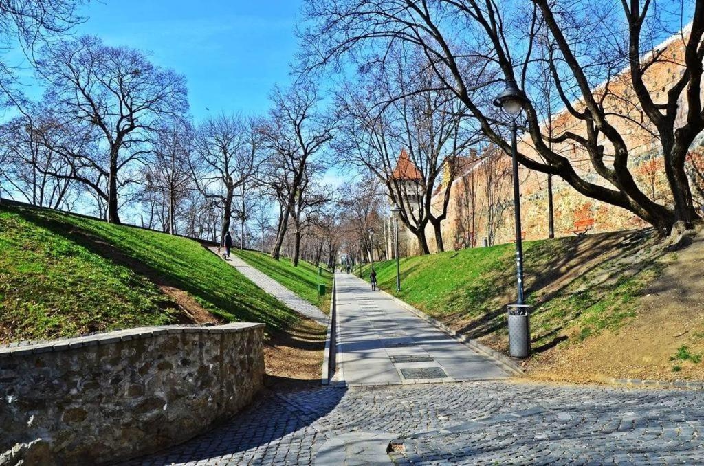 Kaya Home Sibiu Exterior photo